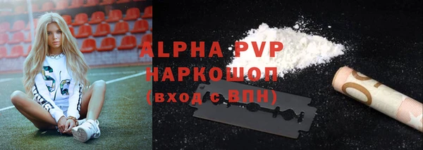 хмурый Алексин