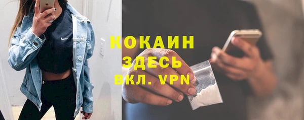 хмурый Алексин