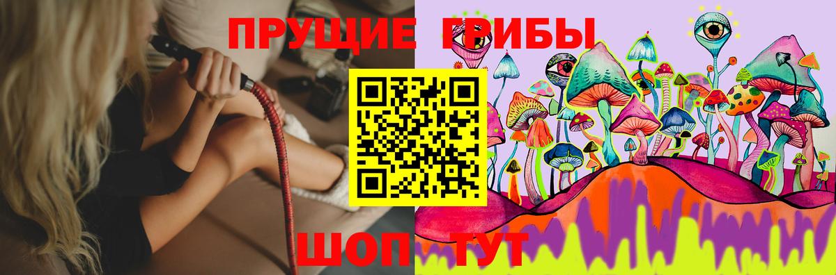 Галлюциногенные грибы Magic Shrooms  что такое   Псилоцибиновые грибы мухоморы  Алушта  Вход с VPN 