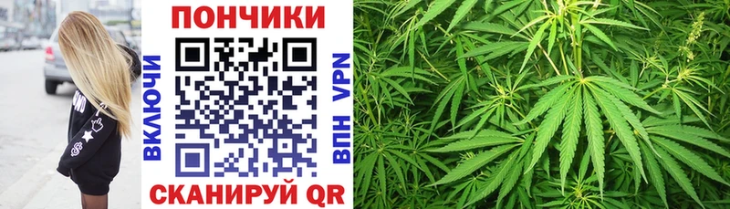 shop как зайти  Алушта  Конопля SATIVA & INDICA 